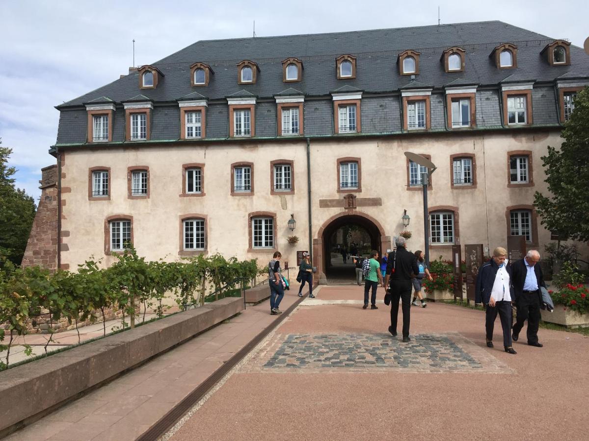 Maison Independante De Montagne En Alsace Bellefosse Exterior foto