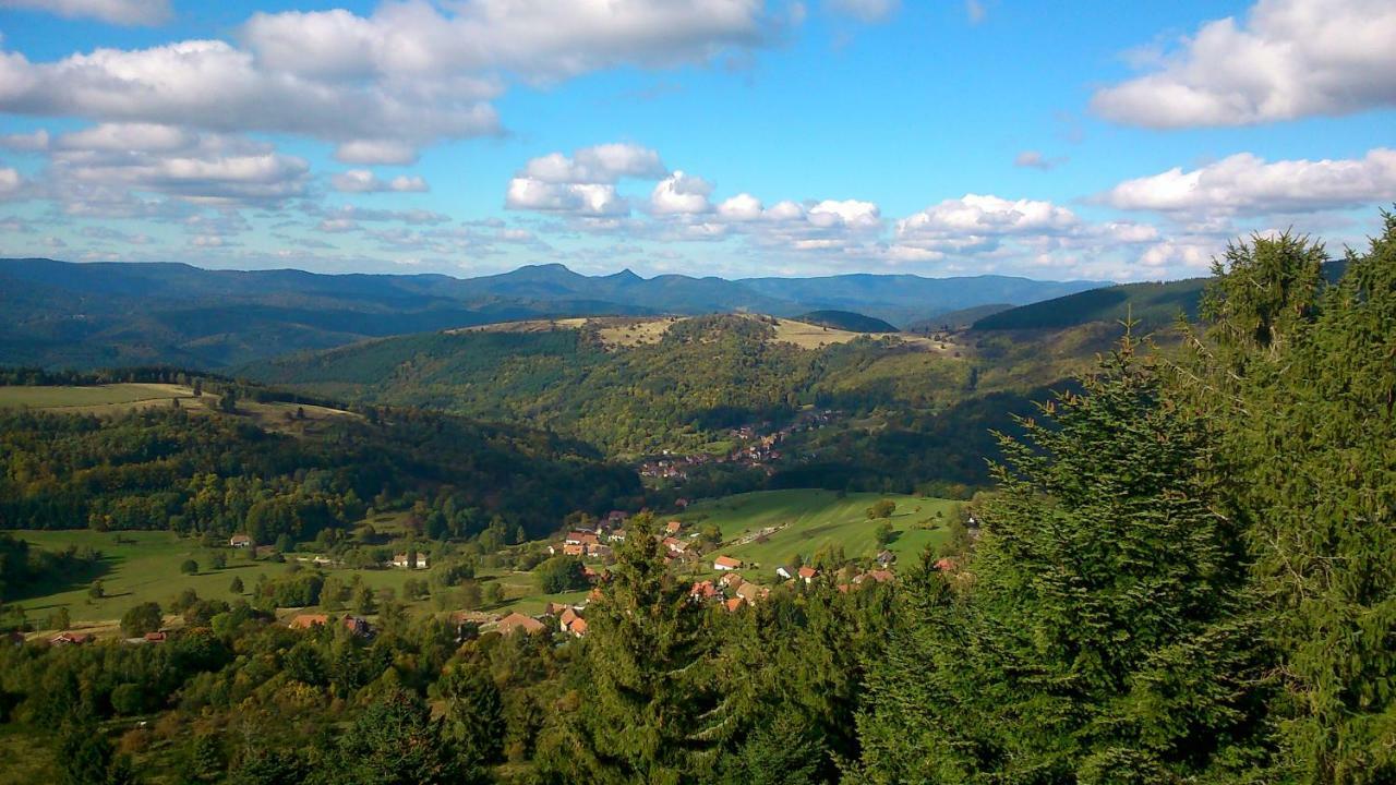 Maison Independante De Montagne En Alsace Bellefosse Exterior foto
